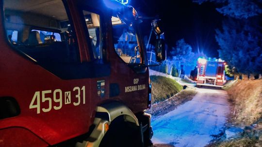 Akcja strażaków na ulicy Spadochroniarzy w Mszanie Dolnej. Płonęły sadze [ZDJĘCIA]