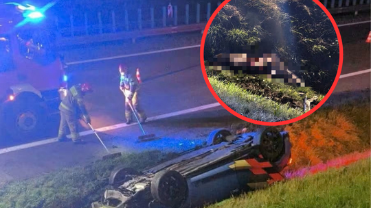 Dachowanie na Zakopiance w Myślenicach. Auto zderzyło się ze dziką zwierzyną