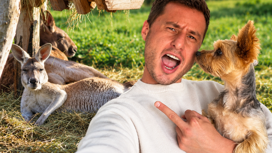 DIOZ pod ostrzałem krytyki po interwencji w ZOO w Łącznej. Internauci grzmią!