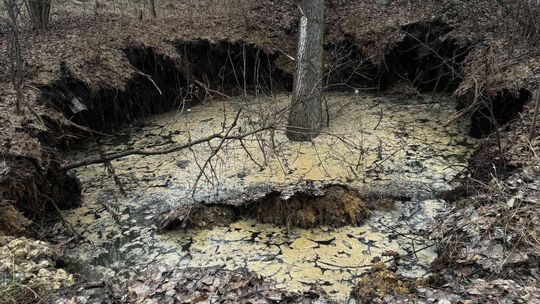 Bolesław, akcja ratunkowa, zabezpieczenie osuwiska, osuwisko, ziemia zapadła się, zapadlisko, zabezpieczenie miejsca zapadliska