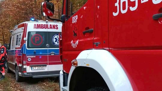 Makabryczne odkrycie w lesie pod Tarnowem. 37-latek znaleziony w bieliźnie, śledztwo trwa