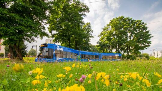 Niebieska Krew Miasta: Fascynująca Historia Krakowskich Tramwajów