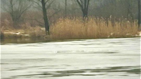 Oświęcim, Soła, zagrożenie na lodzie, lód na rzece, cienki lód na rzece powiat oświęcimski