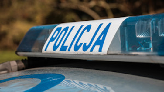 Policja szuka świadków. Spadające konary w Parku Miejskim w Rabce-Zdroju pod lupą śledczych