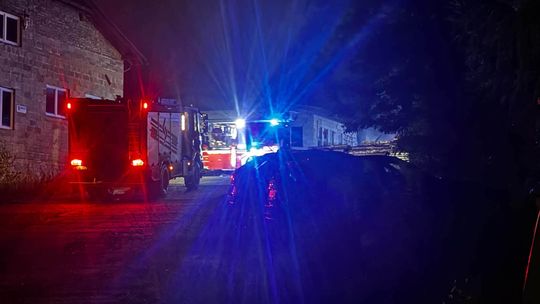 Poranny pożar tartaku w Bolesławiu. Do akcji ruszyło 8 zastępów straży pożarnej [ZDJĘCIA]