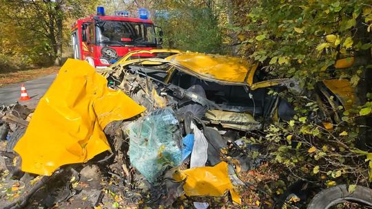 Samochód rozbił się na drzewie w Brzoskwini. Kierowca miał dużo szczęścia [ZDJĘCIA]