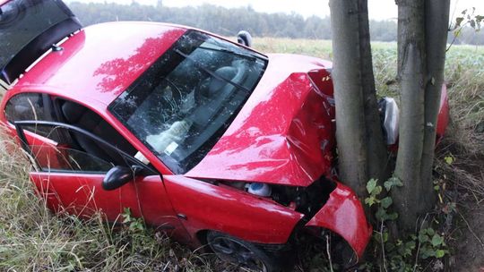 Seat uderzył w drzewo. 19-latek bez uprawnień i z marihuaną w organizmie [FOTO]