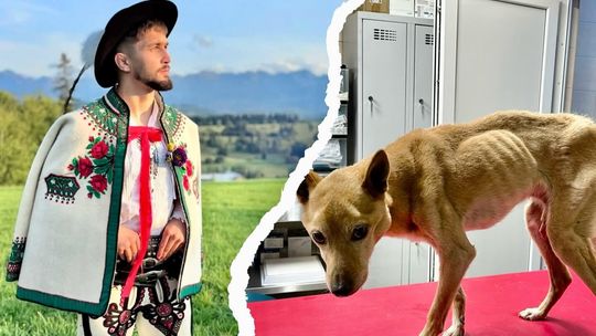 Zagłodzony pies, Podhale, Rabka-Zdrój, na sygnale, policja, Artur, góral z Szaflar