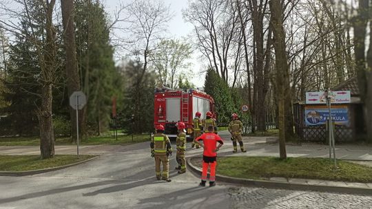 Rabka-Zdrój, tragedia w rabczańskim parku zdrojowym, Podhale, prokuratura, prokurator, skandaliczna decyzja prokuratury
