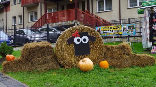 Szczawnica: Muzeum Pienińskie i redyk owiec