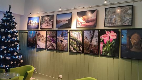 „Sztuka łączy małopolskich seniorów”. Wyjątkowa wystawa otwarta w rabczańskiej bibliotece [FOTO]