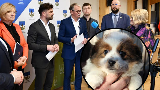 Nowy Targ, schronisko dla psów w Nowym Targu, Zakopane, konwent tatrzański, stanowisko samorządowców, samorządowcy murem za schroniskiem w nowym targu