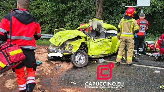 Witowice Dolne, powiat nowosądecki, sądecczyzna, tragiczny wypadek, śmiertelny wypadek, nie żyje 22-latka, 22-latka zginęła na miejscu