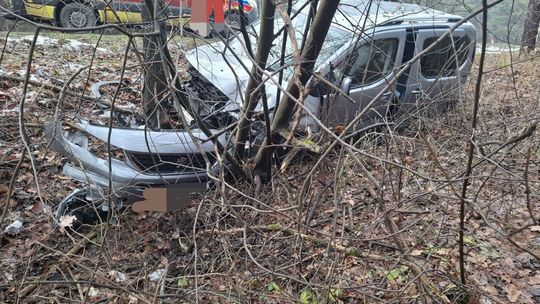 Klucze, Olkusz, powiat olkuski, na sygnale, akcja ratunkowa, trasa z miejscowości klucze do ogrodzieńca, zderzenie dwóch samochodów osobowych