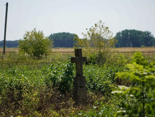 11 lipca święto państwowe, Narodowy Dzień Pamięci Ofiar Ludobójstwa, Rzeź Wołyńska opis, Rzeź Wołyńska data, Narodowy Dzień Pamięci Męczeństwa Kresowian