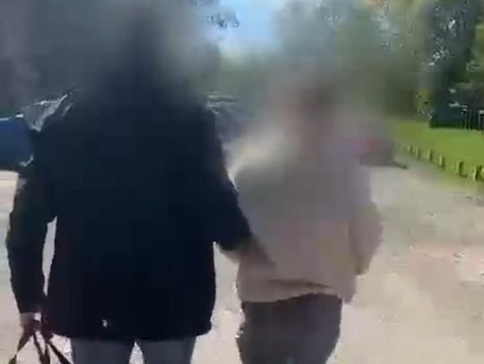 Poszukiwana, narkotyki, komenda miejska policji w Krakowie, Krowodrza, ugryzienie amstaffa, amstaff pogryzł kobietę, zatrzymana 29-letnie kobieta