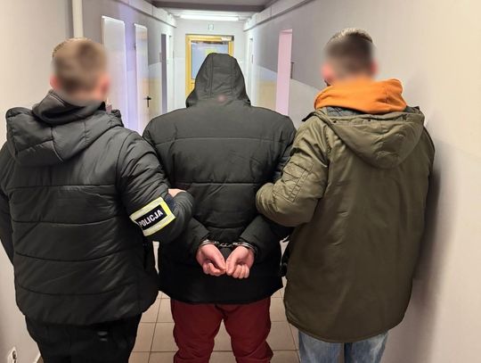 Osiedle oświecenia, Nowa Huta, Kraków, zatrzymany wandal, złapany wandal, Policja, demolował bloki w Nowej Hucie