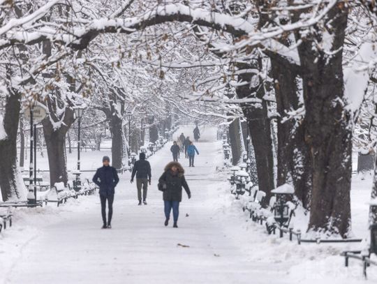 Na zdjęciu zaśnieżone chodniki w Krakowie