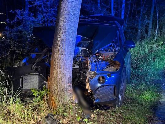 Auto uderzyło w drzewo na granicy Małopolski i Śląska. Droga jest zablokowana