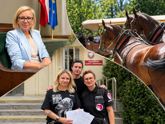Awantura o konie w Tatrach. Minister Paulina Hennig-Kloska uspokoiła Górali