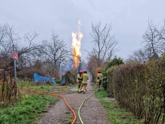 Kraków, gazociąg, na sygnale, rozszczelnienie gazociągu, akcja ratunkowa, akcja ratownicza, straż pożarna