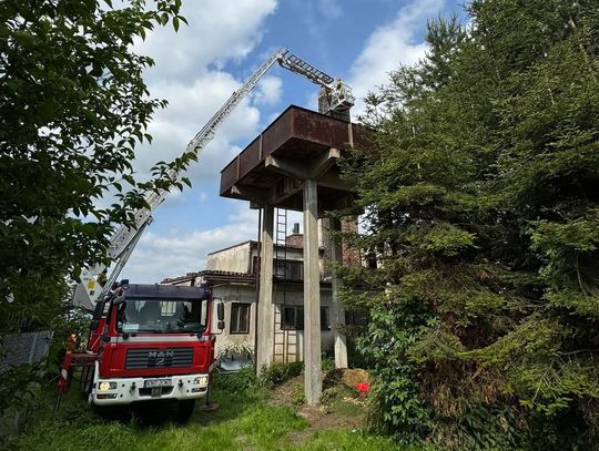 Podhale, Rokiciny Podhalańskie, bocian wypadł z gniazda, akcja ratunkowa w Rokicinach Podhalańskich, wypadek