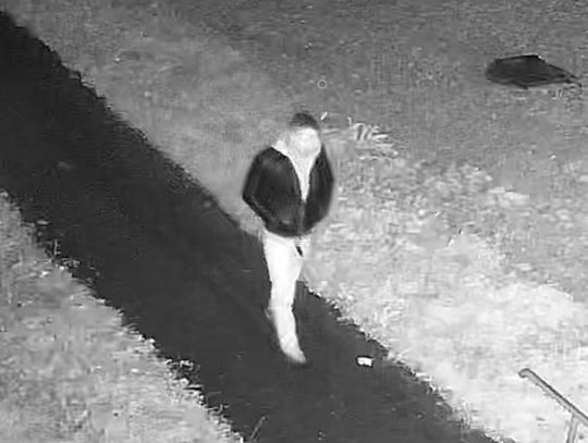 Brutalne pobicie małżeństwa na ulicy Piłsudskiego w Rabce-Zdroju. Agresor poszukiwany [FILMY]