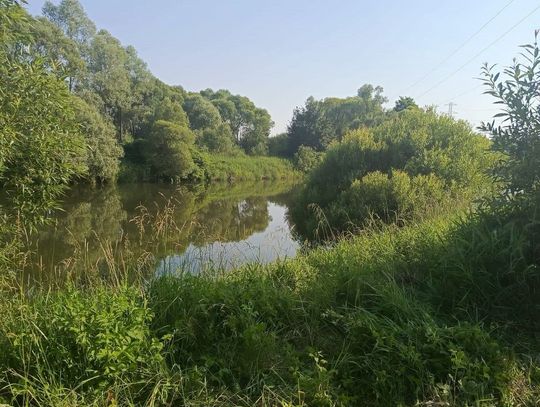 Tragiczne zdarzenie na rzece Sole w powiecie oświęcimskim. W niedzielne popołudnie służby wyłowiły z wody ciało około 60-letniego mężczyzny