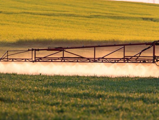 Czy warto tworzyć mieszaniny opryskowe?