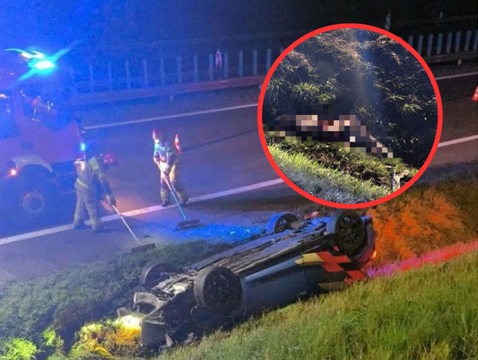 Dachowanie na Zakopiance w Myślenicach. Auto zderzyło się ze dziką zwierzyną