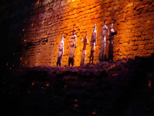 Wawel, zwiedzanie, dziedzictwo kultury, piwnice zamku na Wawelu, zamek królewski na Wawelu