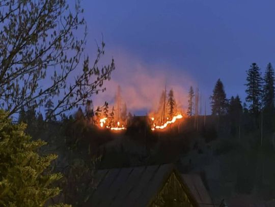 Stasikówka, gmina Poronin, Poronin, Podhale, pożar lasu, pożar lasu w Stasikówce, powiat tatrzański