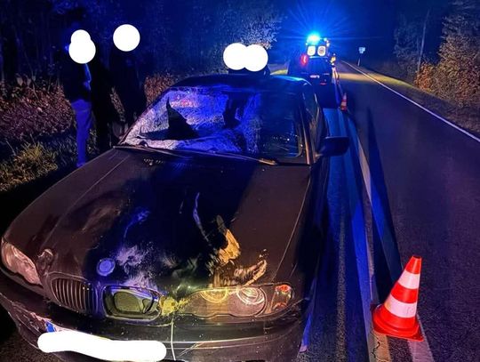 Dramatyczny wypadek w Zabłędzy: Samochód uderzył w łosia, jedna osoba poszkodowana Zabłędza, powiat tarnowski, zderzenie samochodu osobowego z łosiem, łoś, poszkodowana osoba, wypadek drogowy, zderzenie z dziką zwierzyną