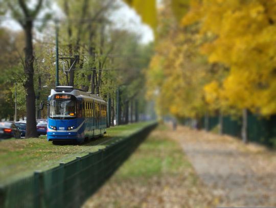 Dziś Europejski Dzień Bez Samochodu. W Krakowie darmowa komunikacja miejska