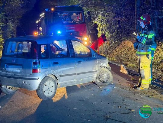 Fiat w rowie w Rychwałdzie. W samochodzie znaleziono pijanego mężczyznę [FOTO]