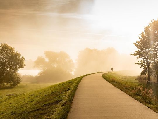 IMGW, Instytut Meteorologii i Gospodarki Wodnej, Małopolska, Kraków, Nowy Sącz, Tarnów, mgła w Małopolsce, ostrzeżenie
