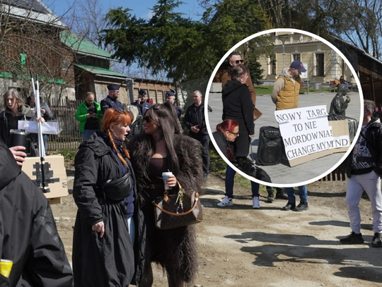 Gorący spór o schronisko na Kokoszkowie: Protesty, celebryci i mocna odpowiedź [ZDJĘCIA]