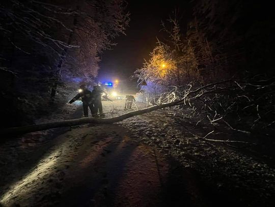 Gromnik. Powalone drzewa spowodowały utrudnienia na drogach (ZDJĘCIA)