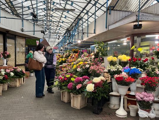 Ile kosztują przygotowania do Wszystkich Świętych? Sprawdziliśmy ceny w Krakowie
