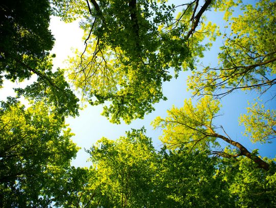 Jak w praktyce zredukować emisje CO₂ w firmie produkcyjnej: studium przypadku