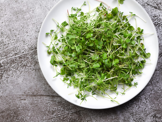 Kiełki i mikrolistki: Superfoods z własnej kuchni