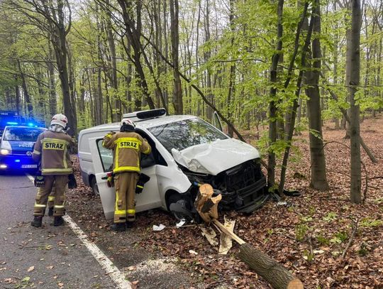 Na zdjęciu samochód, który uderzył w drzewo na terenie miejscowości Frywałd