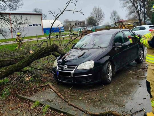 Konary drzewa runęły na samochód osobowy w Radłowie [FOTO]