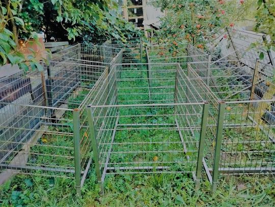 zuchwała kradzież w Limanowej, Limanowa, kradzież wózków sklepowych i półek, powiat limanowski, złodziej z powiatu limanowskiego