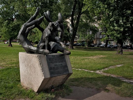 Kraków wprowadza Rzeczniczkę Zwierząt! Ptaki, chomiki i dziki pod specjalną ochroną – sprawdź, co się zmieni! Pomnik Dżoka