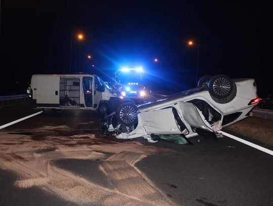 Łoś sprawcą poważnego wypadku na tarnowskim odcinku autostrady A4