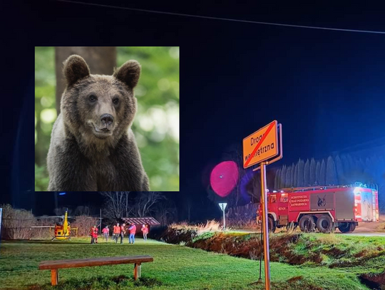 Na zdjęciu miejsce lądowania śmigłowca LPR po ataku niedźwiedzia w Bieszczadach