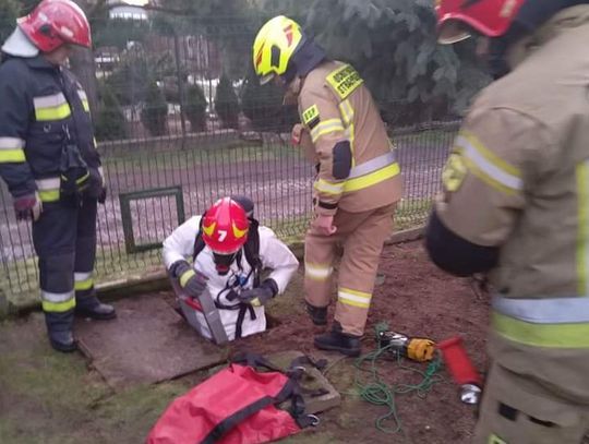 Michałowice. Pies wpadł do szamba. Ranna akcja strażaków