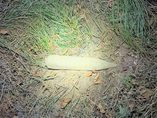 Militarne odkrycie w gminie Oświęcim.  Grzybiarz znalazł pocisk z czasów II wojny światowej