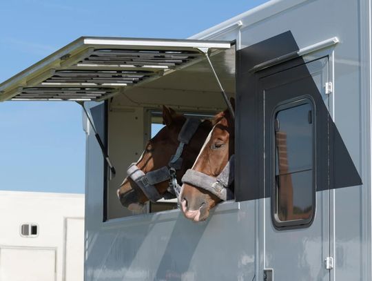 Na co zwrócić uwagę przy zakupie koniowozu? Na co zwrócić uwagę przy zakupie koniowozu?